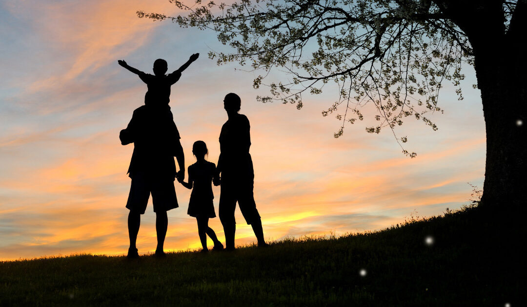 Is Your Insurance Still a Perfect Fit? (It Only Takes a Quick Chat)